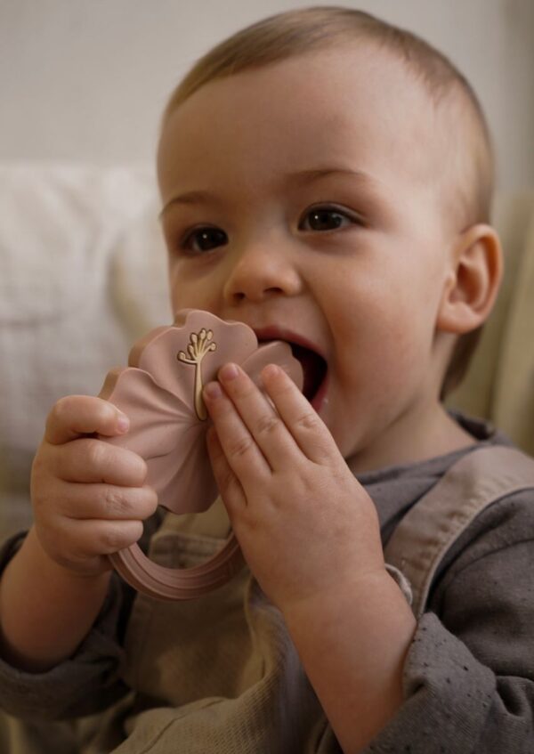Kūdikio kramtukas iš saugaus maistinio silikono